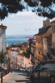 Historic Alfama Discovery